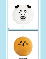 Joke Bear Coin Purse