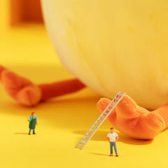 Dundun Series - Dundun Chicken Plush Toy