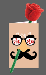 Valentine's Day Plush Rose "I PICK YOU" Funny Greeting Card-Pink
